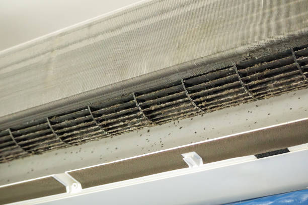 Best Air Duct Sanitizing Services  in Boardman, OR